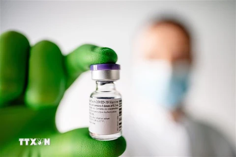 Vắcxin phòng COVID-19 do công ty Pfizer (Mỹ) và BioNTech (Đức) bào chế. (Nguồn: THX/TTXVN) 