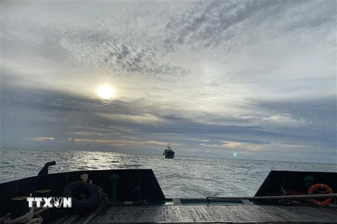 Tàu 911 lai kéo tàu SOKOL (quốc tịch Nga) vào Cảng Ba Ngòi, thành phố Cam Ranh ngày 9/12. (Nguồn: TTXVN phát) 