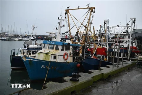 Tàu đánh cá neo tại cảng ở Scarborough, Đông Bắc nước Anh ngày 21/12/2020. (Nguồn: AFP/TTXVN) 