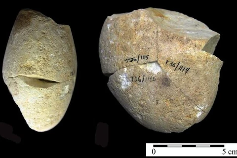 Một công cụ mài bằng đá đã được tìm thấy trong hang Tabun ở núi Carmel. (Nguồn: Đại học Haifa) 