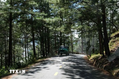 Một xe UOát chạy trên tuyến đường từ chân núi Lang Biang. (Ảnh: Nguyễn Dũng/TXTVN) 