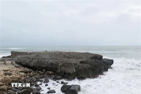 Bãi san hô cổ 18.000 năm tuổi. (Ảnh: Minh Hưng/TTXVN) 