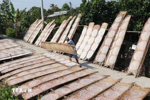 [Photo] Làng bánh tráng Hậu Thành ở Tiền Giang vào mùa Tết