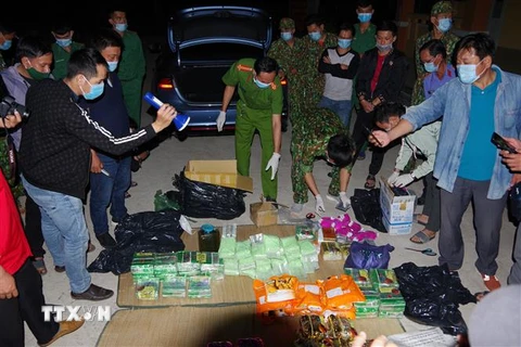 Hiện trường lực lượng chức năng bắt giữ gần 90kg ma túy tại huyện biên giới Hồng Ngự, tỉnh Đồng Tháp. (Nguồn: TTXVN phát) 