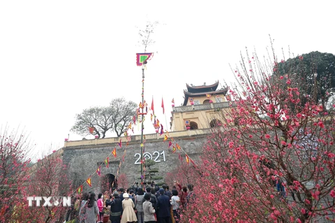 [Photo] Hoàng Thành Thăng Long thả cá chép, dựng cây nêu đón Xuân