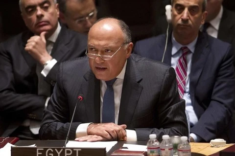 Ngoại trưởng Ai Cập Sameh Shoukry. (Nguồn: Reuters) 