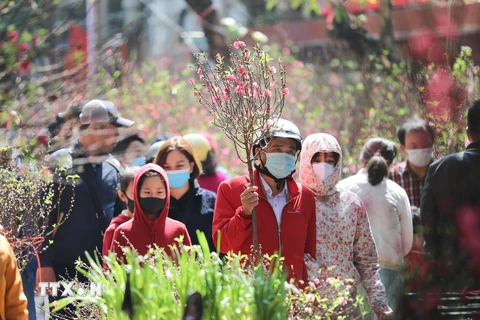 Trời Hà Nội chuyển nắng đẹp, người dân náo nức đi chợ hoa truyền thống