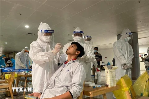 Nhân viên y tế lấy mẫu xét nghiệm cho người làm việc tại sân bay Tân Sơn Nhất ngày 6/2. (Nguồn: TTXVN phát) 
