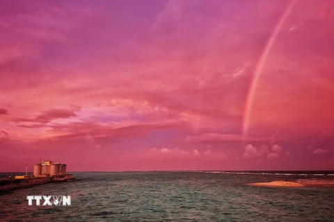 [Photo] Vẻ đẹp kiên cường trước biển của quần đảo Trường Sa