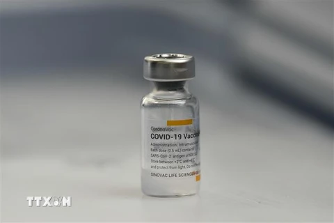 Vắcxin phòng COVID-19 của hãng Sinovac Biotech (Trung Quốc). (Nguồn: THX/TTXVN) 