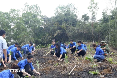 Đoàn Thanh niên TTXVN trồng 10.000 cây xanh hưởng ứng Tết trồng cây