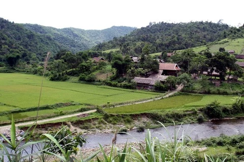 Bản làng của dân tộc Thái định cư trong rừng Pù Mát. (Ảnh: An Đăng/TTXVN) 