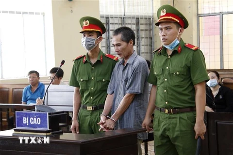 Bị cáo Lê Văn Thảo tại phiên tòa. (Ảnh: Kim Há/TTXVN) 