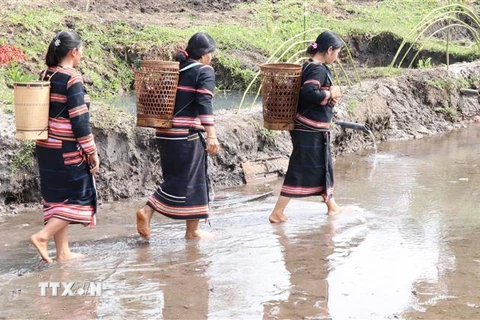 Phụ nữ trong làng gùi nước từ Giọt nước về nhà Rông của làng để dâng lên thần linh. (Ảnh: Hồng Điệp/TTXVN) 