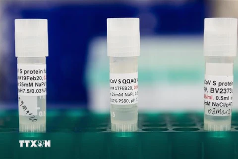 ​Vaccine phòng COVID-19 được nghiên cứu trong phòng thí nghiệm của Novavax tại Gaithersburg, Maryland, Mỹ, ngày 20/3/2020. (Nguồn: AFP/TTXVN) 