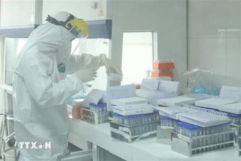 Xét nghiệm COVID-19 tại CDC Hà Nội. (Ảnh: Minh Quyết/TTXVN) 