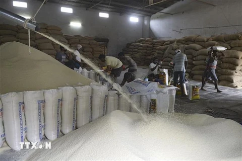 Công nhân làm việc tại nhà máy xay xát gạo ở Hyderabad, Ấn Độ. (Nguồn: AFP/TTXVN) 