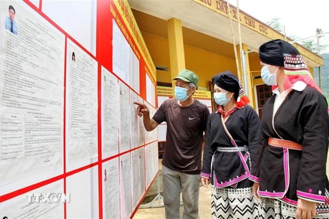 Cử tri bản người Dao ở Khu Dáy, xã Thu Cúc, huyện Tân Sơn, tỉnh Phú Thọ xem danh sách cử tri được niêm yết tại nhà văn hoá bản. (Ảnh: Trung Kiên/TTXVN) 
