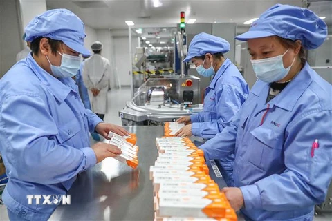Sản xuất vaccine ngừa COVID-19 tại nhà máy của Tập đoàn công nghệ sinh học Sinovac ở Bắc Kinh,Trung Quốc ngày 6/1/2021. (Nguồn: THX/TTXVN) 