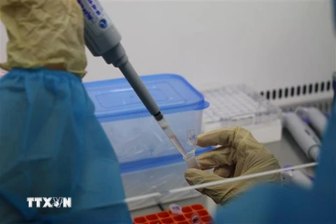 Kỹ thuật viên xét nghiệm tại Bệnh viện Đa khoa Đồng Tháp thực hiện các công đoạn xét nghiệm Sars-CoV-2 bằng phương pháp Realtime PCR. (Ảnh: Chương Đài/TTXVN) 