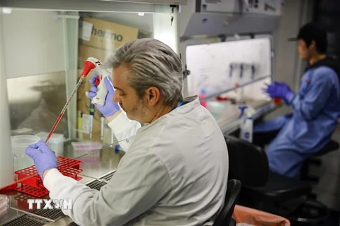 Nghiên cứu vaccine phòng COVID-19 tại một phòng thí nghiệm ở London, Anh ngày 10/2/2020. (Nguồn: AFP/TTXVN) 