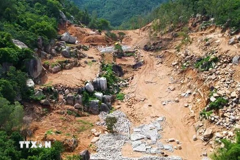 Hiện trường một phần diện tích khu rừng Tân Phước-núi Thị Vải bị tàn phá. (Ảnh: Ngọc Sơn/TTXVN) 