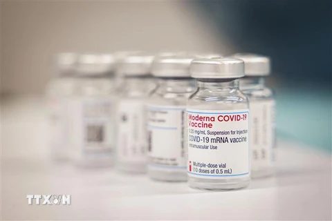 Vaccine ngừa COVID-19 của Moderna. (Ảnh: AFP/TTXVN) 