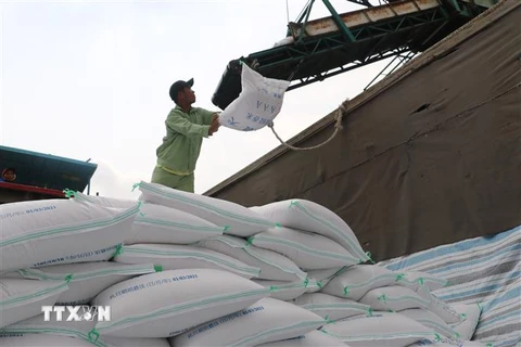 Xuất khẩu gạo của tỉnh An Giang tiếp tục tăng trưởng ấn tượng, bất chấp những tác động không nhỏ của dịch COVID-19. (Ảnh: Công Mạo/TTXVN) 