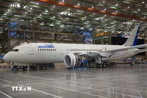 Máy bay Boeing 787 Dreamliner tại nhà máy của Boeing ở Everett, Washington, Mỹ. (Ảnh: AFP/TTXVN) 