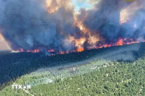 Khói bốc lên từ đám cháy rừng ở British Columbia, Canada ngày 29/6/2021. (Ảnh: AFP/TTXVN) 