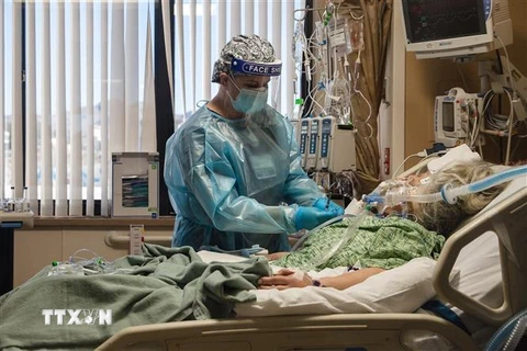 Nhân viên y tế điều trị cho bệnh nhân COVID-19 tại trung tâm y tế ở California, Mỹ, ngày 11/1/2021. (Ảnh: AFP/TTXVN) 