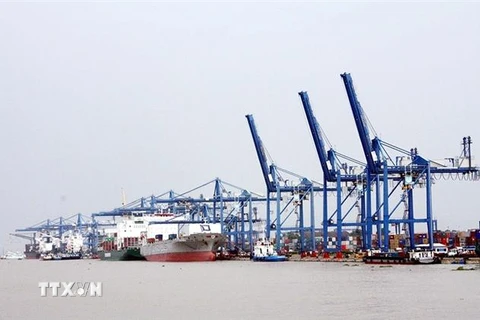 Hoạt động xếp dỡ hàng hóa tại cảng Cát Lái, Thành phố Hồ Chí Minh. (Ảnh: Đỗ Ngọc Giang/TTXVN) 