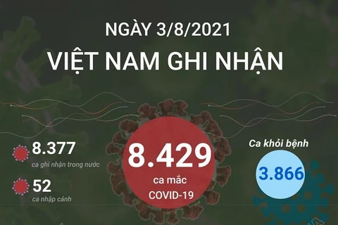 [Infographics] Việt Nam ghi nhận 8.429 ca mắc COVID-19 trong ngày 3/8