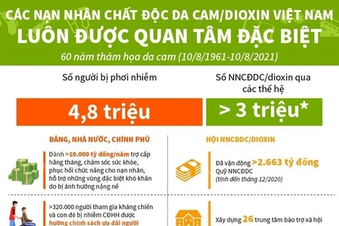 Các nạn nhân chất độc da cam/dioxin Việt Nam được quan tâm đặc biệt