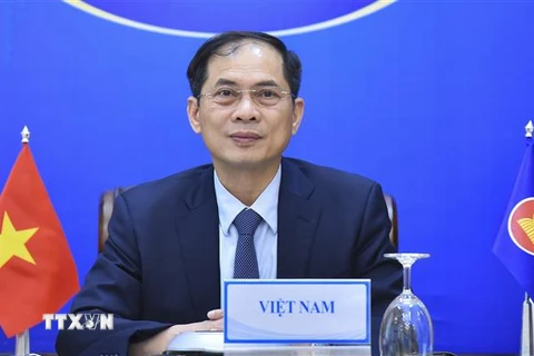 Bộ trưởng Bộ Ngoại giao Bùi Thanh Sơn. (Ảnh: TTXVN) 
