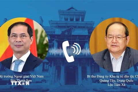 Bộ trưởng Ngoại giao Bùi Thanh Sơn điện đàm với Bí thư Đảng ủy Khu Tự trị dân tộc Choang Quảng Tây. (Ảnh: TTXVN phát) 