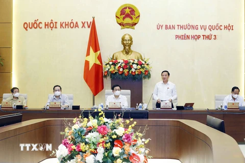 Phó Chủ tịch Quốc hội Nguyễn Khắc Định phát biểu kết luận Phiên họp. (Ảnh: Doãn Tấn/TTXVN) 