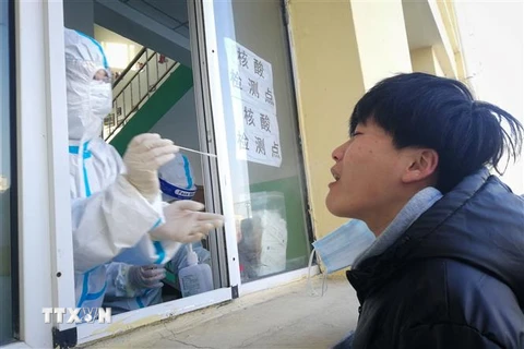 Nhân viên y tế lấy mẫu xét nghiệm COVID-19 tại tỉnh Hắc Long Giang, Trung Quốc, ngày 13/1/2021. (Ảnh: AFP/TTXVN) 