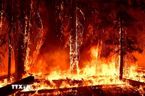 Cháy rừng dữ dội tại cộng đồng Prattville ở hạt Plumas, California (Mỹ) ngày 23/7/2021. (Ảnh: AFP/TTXVN) 