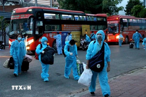 Đoàn xe đưa công dân Bình Thuận từ thành phố Hồ Chí Minh về thành phố Phan Thiết quê tránh dịch COVID-19. (Ảnh: Nguyễn Thanh/TTXVN) 