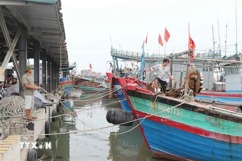 Người dân neo đậu tàu thuyền chắc chắn phòng tránh bão số 7. (Ảnh: Nguyễn Oanh/TTXVN) 