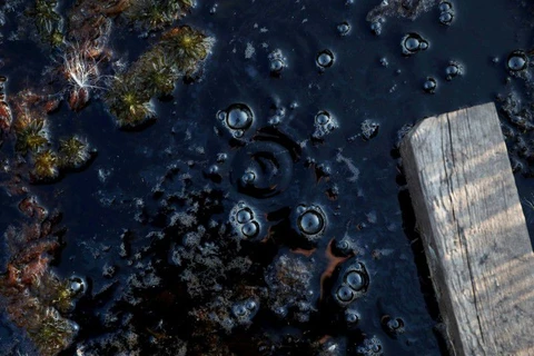 Bong bóng chứa khí methane trong một khu vực đầm lầy. (Nguồn: Reuters) 