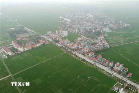 Cánh đồng lúa ở xã Hoa Sơn, huyện Ứng Hòa, Hà Nội. (Ảnh: Vũ Sinh/TTXVN) 