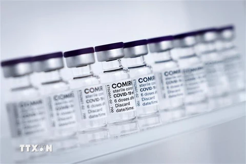 Vaccine ngừa COVID-19 Pfizer/Biontech. (Ảnh: AFP/TTXVN) 