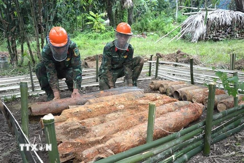 Các chiến sỹ công binh - Bộ Chỉ huy Quân sự tỉnh Hà Giang rà phá thành công vật liệu nổ còn sót lại trong chiến tranh. (Ảnh: Minh Tâm/TTXVN) 