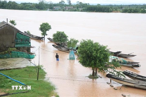Ngập lụt vùng ven sông Thạch Hãn, huyện Triệu Phong, tỉnh Quảng Trị. (Ảnh: Nguyên Lý/TTXVN) 