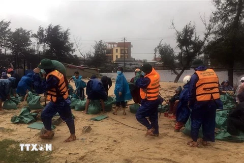 Hàng trăm cán bộ, chiến sỹ và người dân Thừa Thiên-Huế gia cố bờ biển sạt lở. (Ảnh: TTXVN phát) 