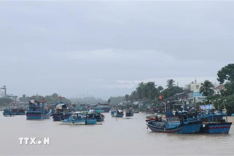 Tàu thuyền của ngư dân được đưa vào neo đậu trên sông Cái (Nha Trang). (Ảnh: Tiên Minh/TTXVN) 