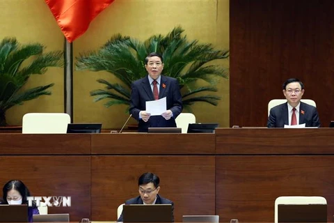 Phó Chủ tịch Quốc hội Nguyễn Đức Hải điều hành phiên họp. (Ảnh: Phạm Kiên/TTXVN) 