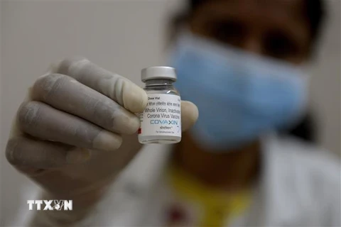 Vaccine ngừa COVID-19 Covaxin. (Ảnh: AFP/TTXVN) 